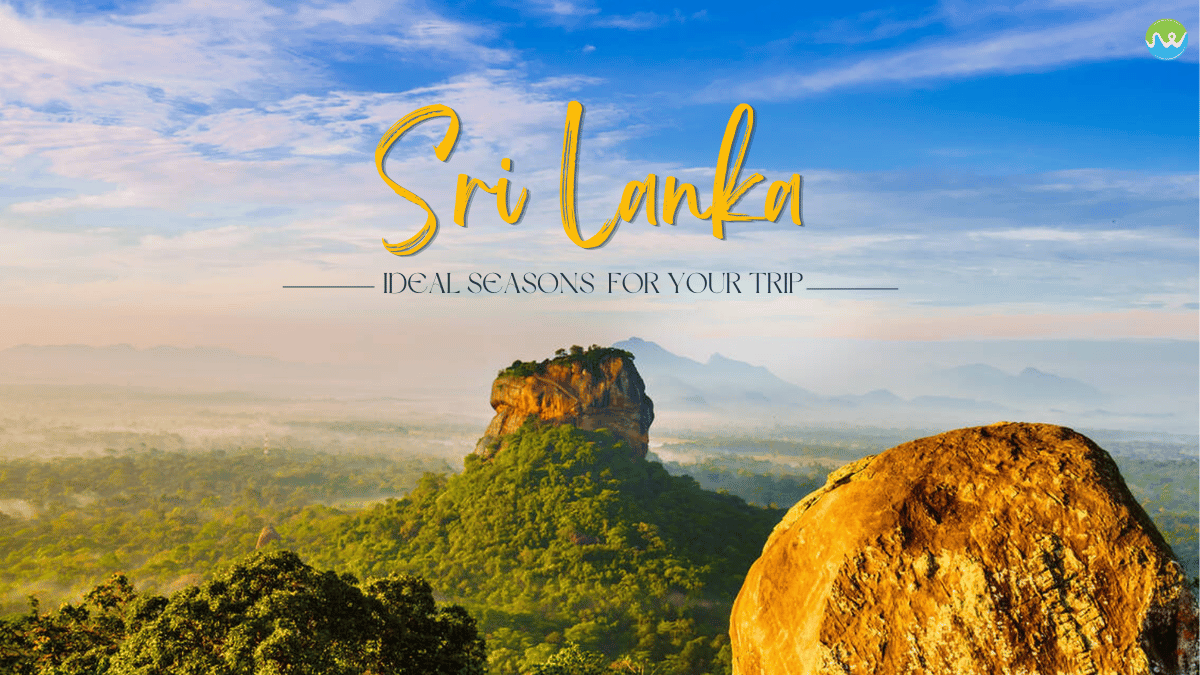 SriLankaParadiseTours